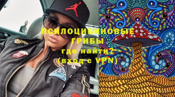 прущая мука Абаза