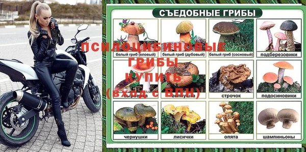 гашик Заволжск