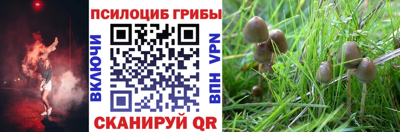 Псилоцибиновые грибы мухоморы  ссылка на мегу как войти  Урюпинск 