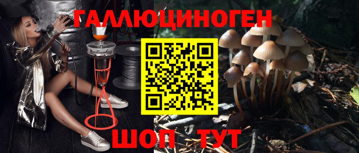 Галлюциногенные грибы Cubensis Урюпинск
